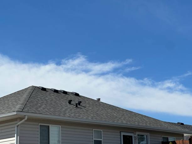 Best Green or Eco-Friendly Roofing Solutions  in Wewa, OK